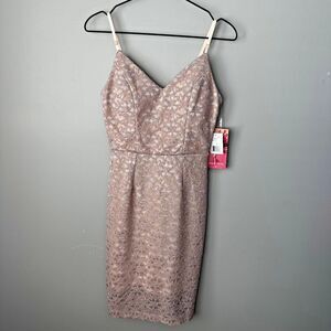 Nwt Emerald Sundae Taupe Lace Shimmer Dress Juniors Med Strap Adjustable